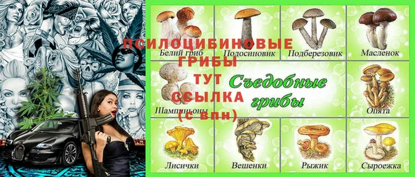 PSILOCYBIN Алзамай